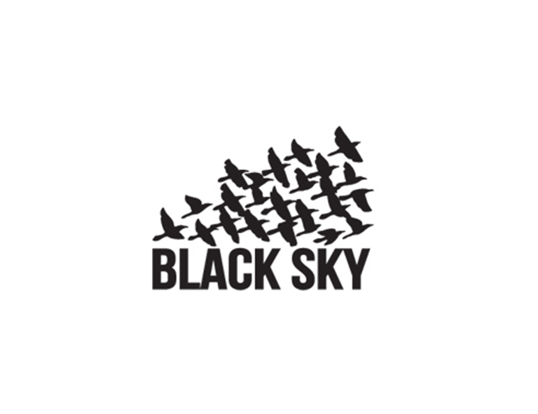 Black Sky Conservation Logo