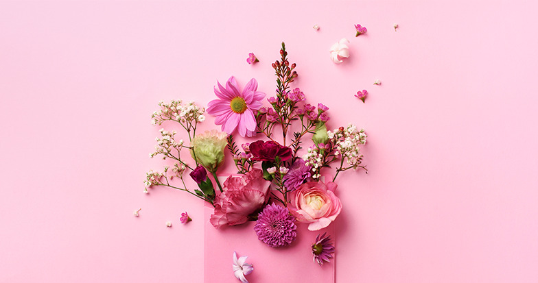 pink flowers with pink background 