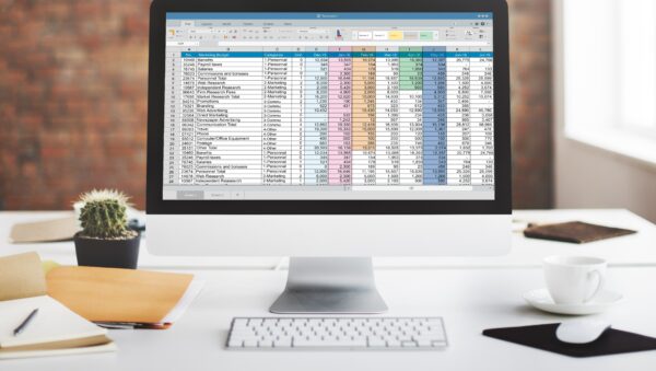 consulting analysis - computer monitor with complex excel chart