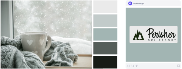 a cold grey winter color palette