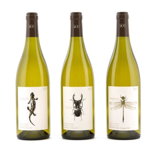 bug wine logo 