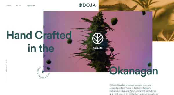 Doja cannabis website 