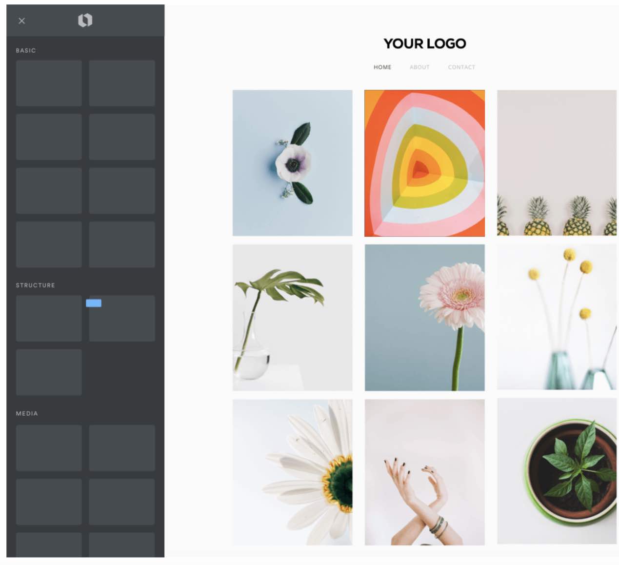 Social Media Kit Your Logo Resized for All Social Platforms Looka
