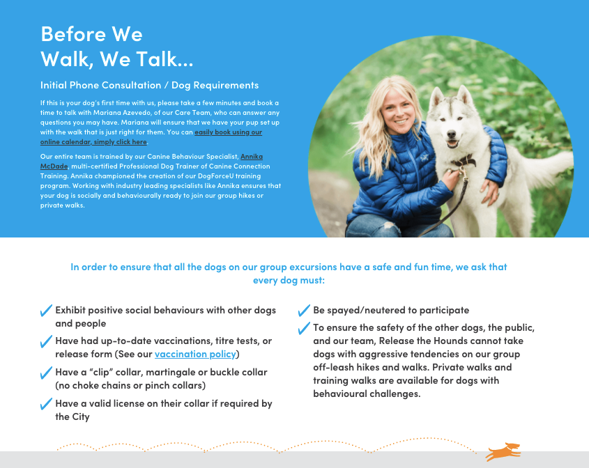 How to Start a Dog Walking Business The Dog Lover's Guide Looka