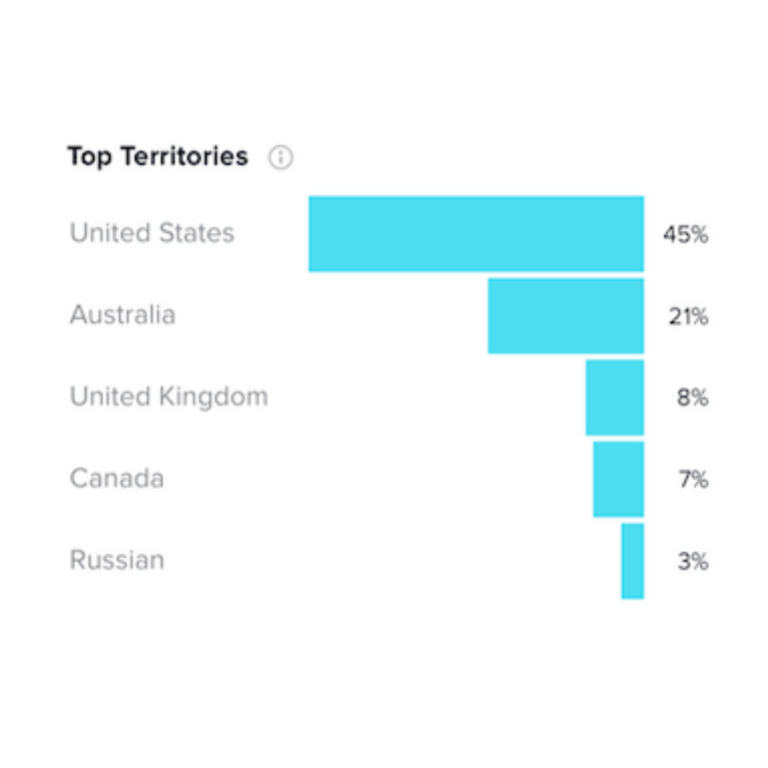 How to Use TikTok for Business A Beginner's Guide Looka