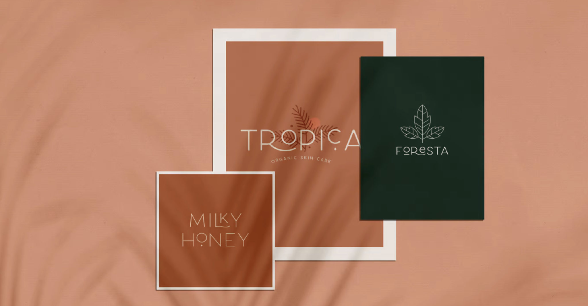 Top 52 Minimalist Fonts for Simple and Clean Design | Looka