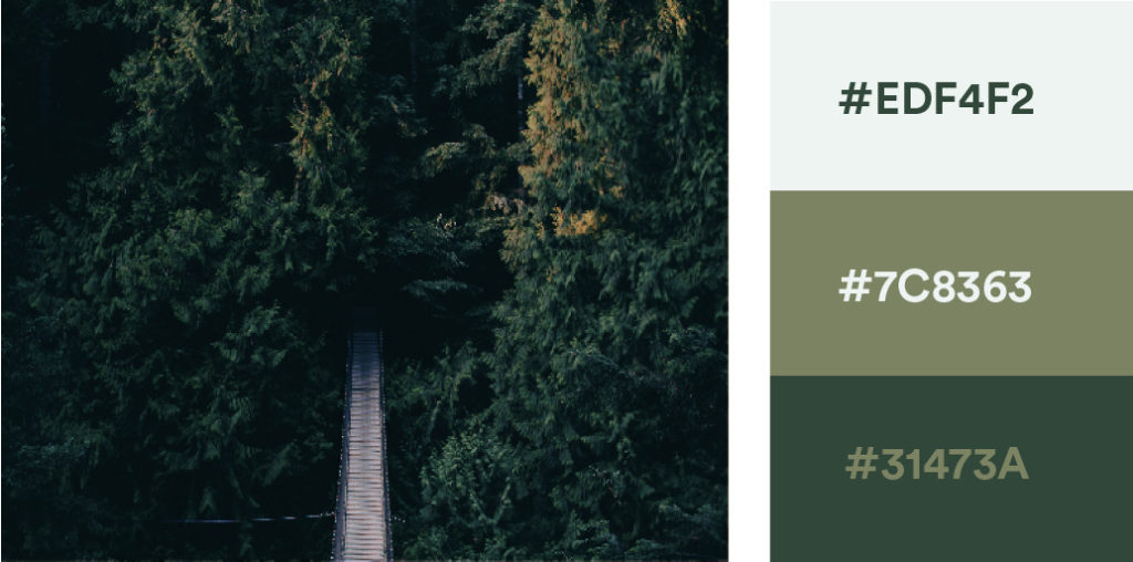 60 Stunning Color Combinations to Elevate Your Next Project in 2025 | Looka