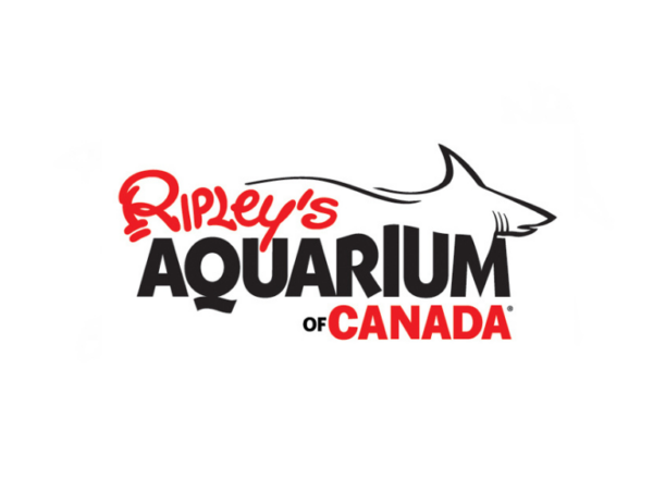 5,000+ Fish Logos - Free Fish Logo Maker - Looka