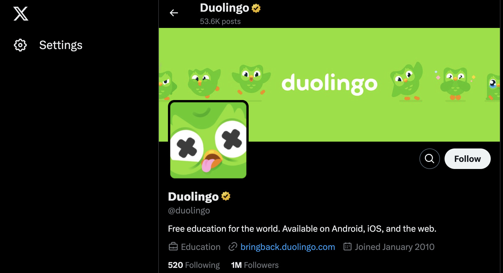 duolingo x account example