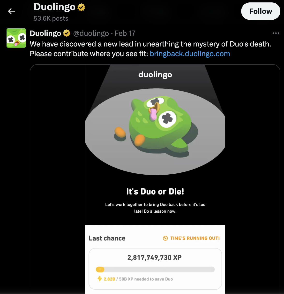 duolingo murder mystery on X