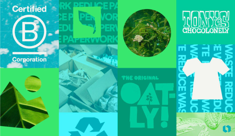 10 Popular Types of Websites For Every Need | Looka