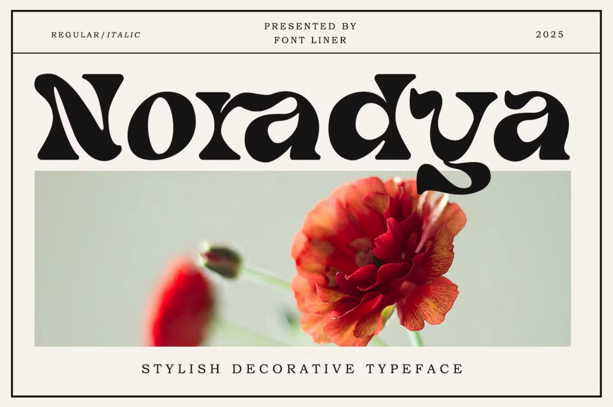 noradya display font style