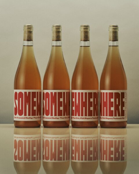 Bold orange wine logo