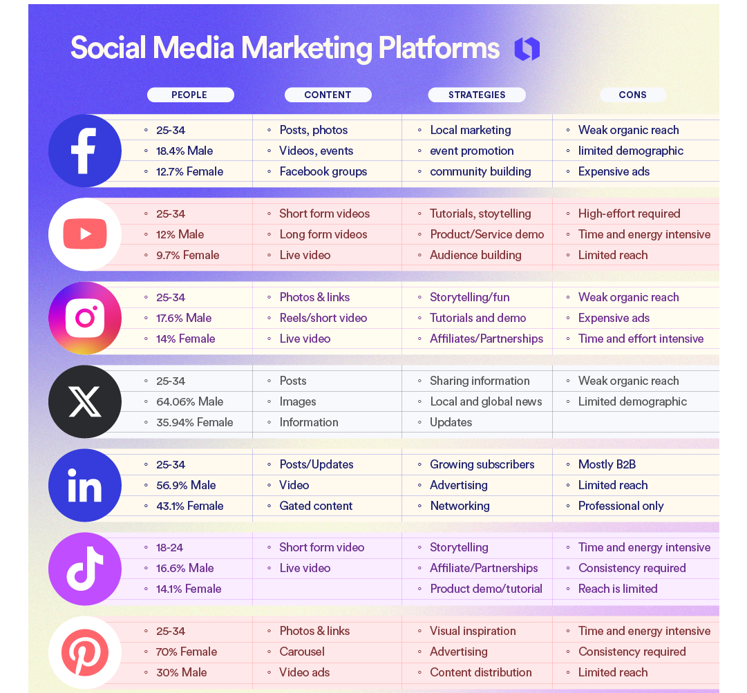 Social media marketing for small business platform statistics and demographics