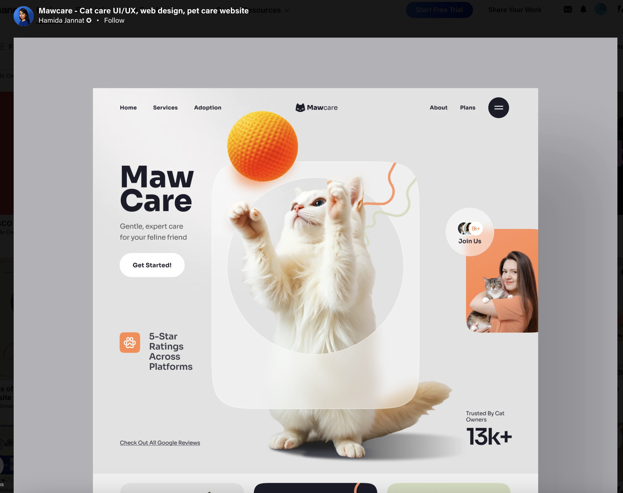 behance website designer example for how much does a website cost